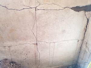 Spider cracks in concrete wall