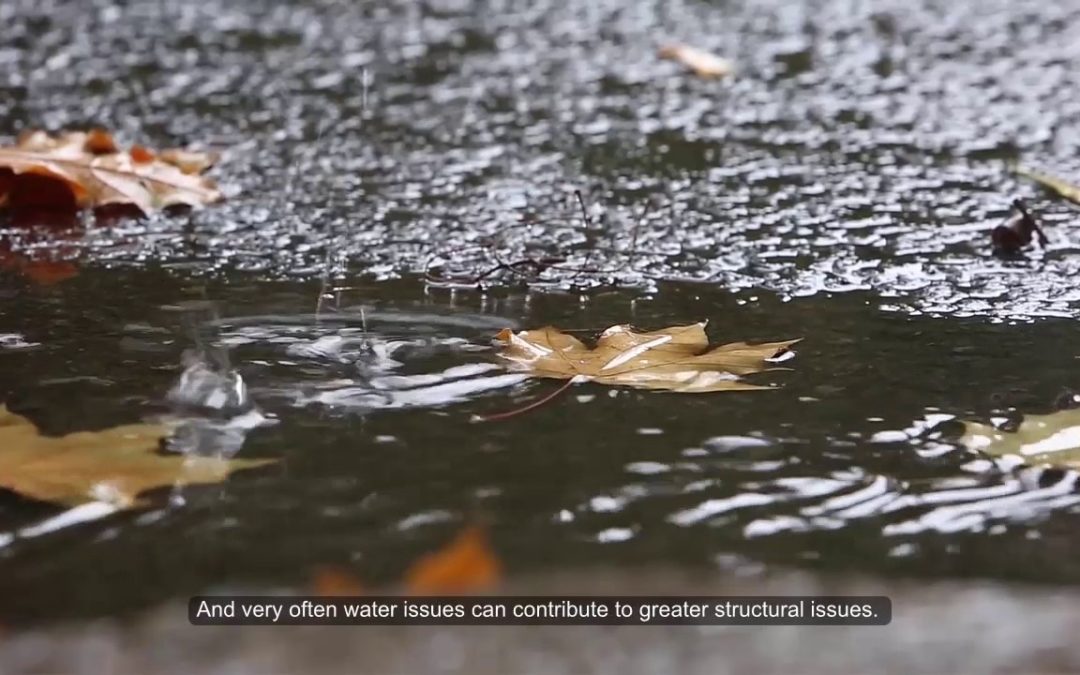 Close up of leaf floating in a puddle