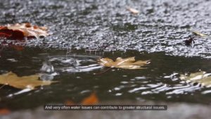 Close up of leaf floating in a puddle