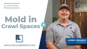 mold in crawl spaces
