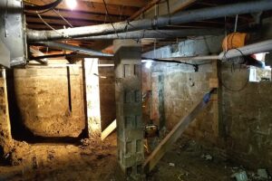 mold in crawlspace