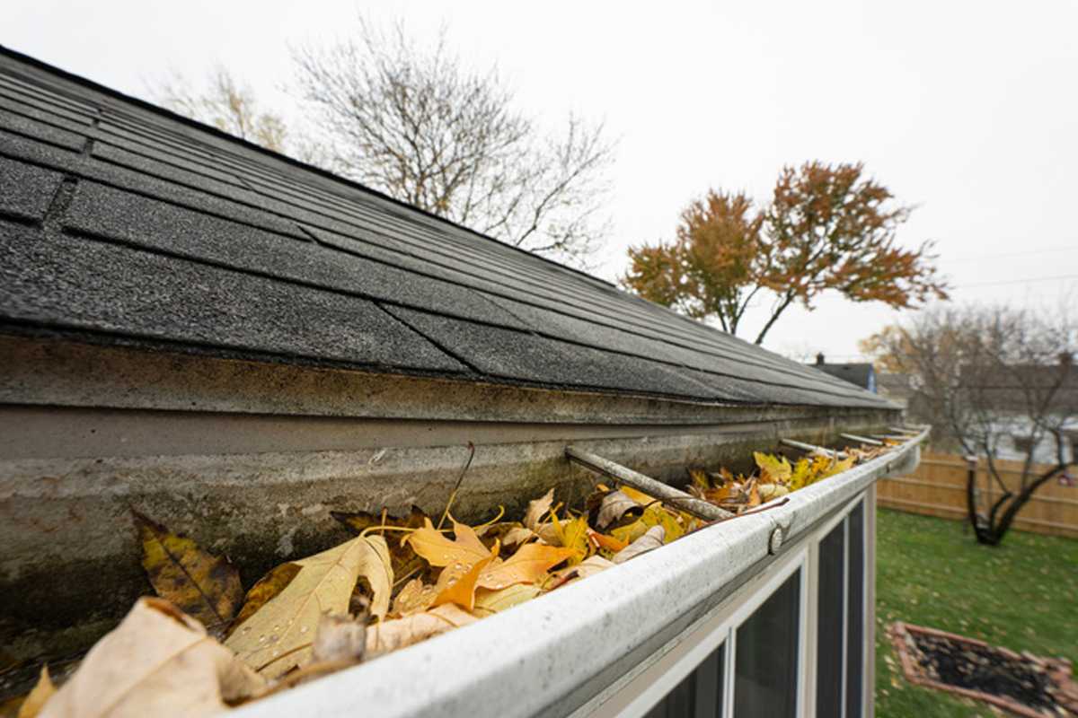 Residential and Commercial Gutter Services We Offer - Image 1